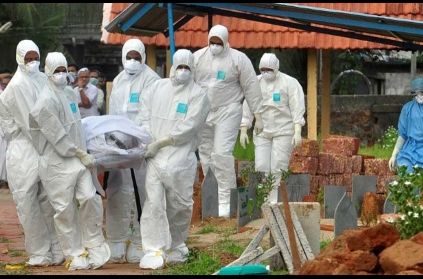 Nipah scare forces Bengaluru to move out pigs, keep eye on bats