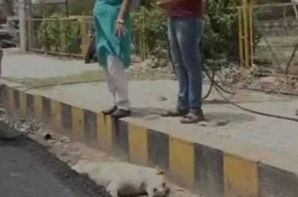 Road built over dog in Agra, residents allege that it was alive