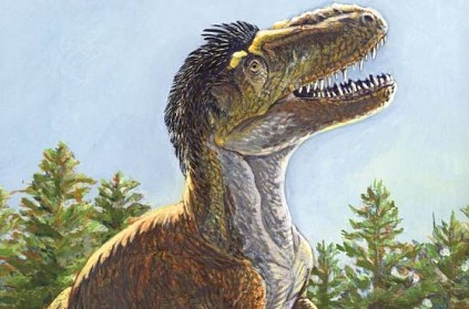 Scientist conducts research for 25 years - Claims Brahma created dinos