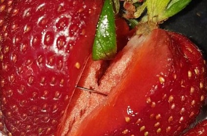 After Australia, needles found in strawberries of this country