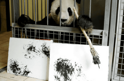 meet vienna\'s painting panda