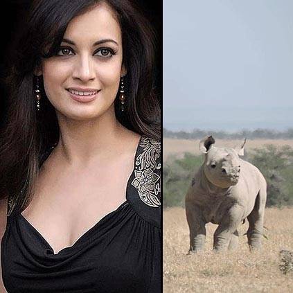 Baby rhino named after Dia Mirza in Kenya