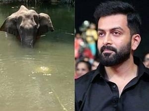 Prithviraj posts on pregnant elephant's death