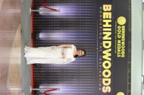 Behindwoods Gold Medals - Iconic Edition - The Red Carpet