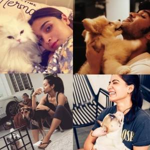 Celebrities and Pets! Pet-parents who love to show off their furry friends.