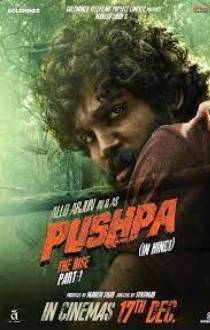 Pushpa The Rise Review
